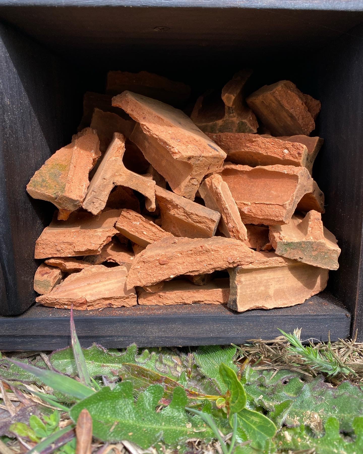 Hotel de insectos, modelo Bombus