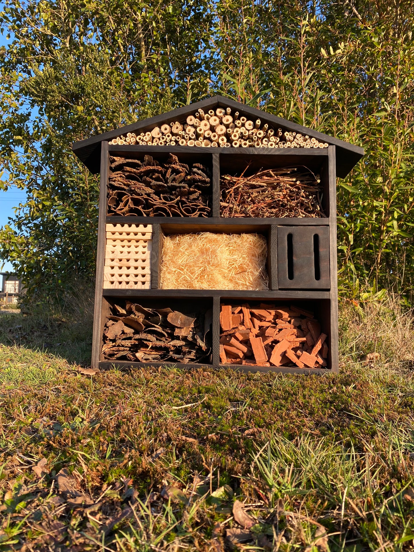 Hotel de insectos, modelo Bombus