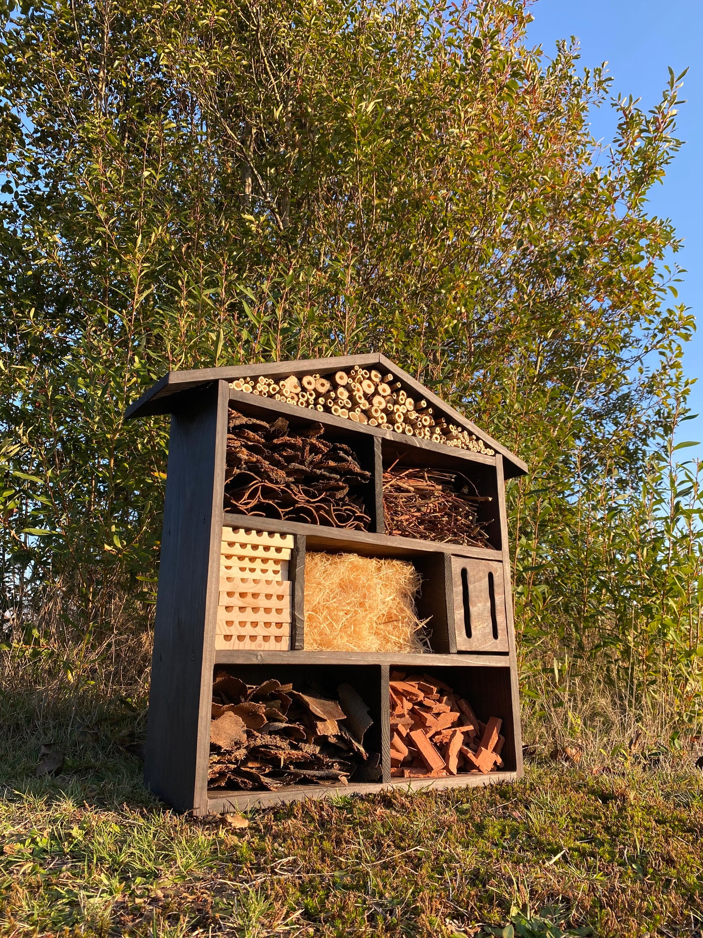 Hotel de insectos, modelo Bombus