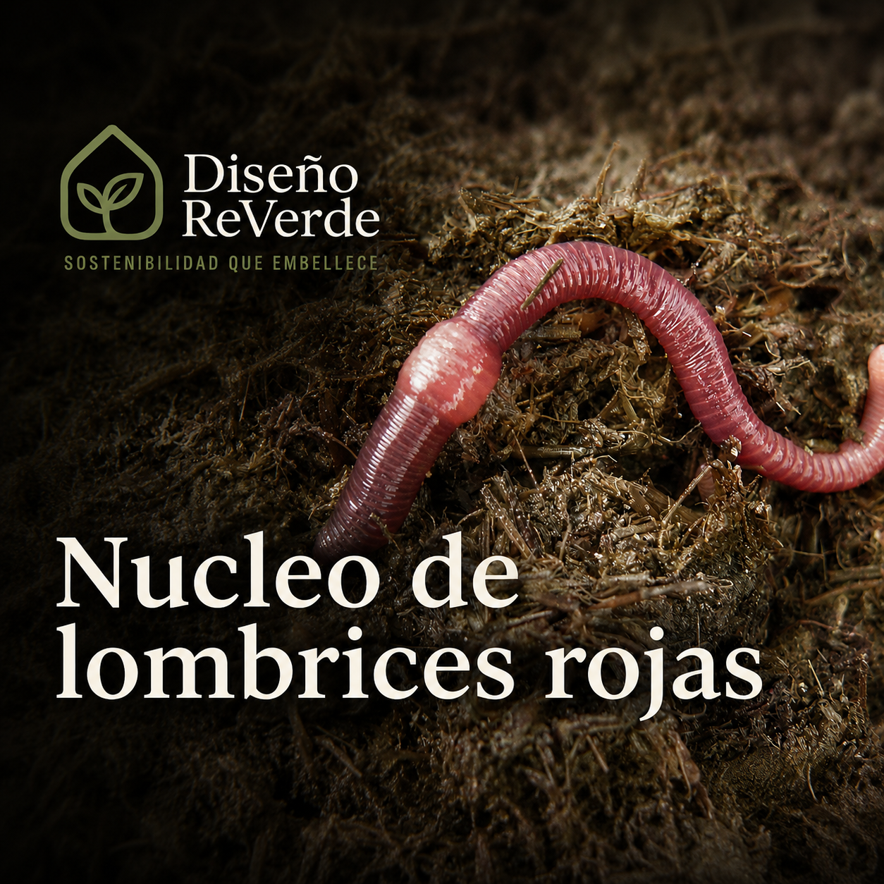 Núcleo de Lombrices Rojas