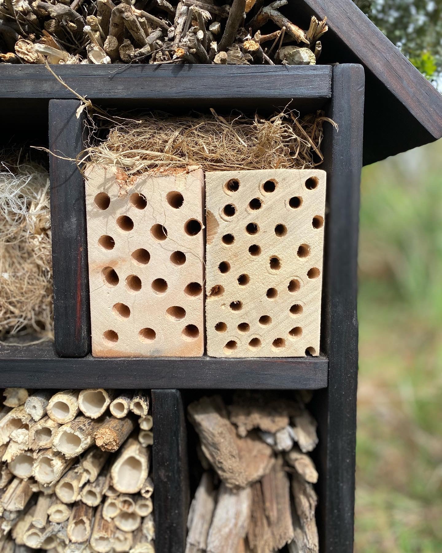 Hotel de insectos, modelo Bombus