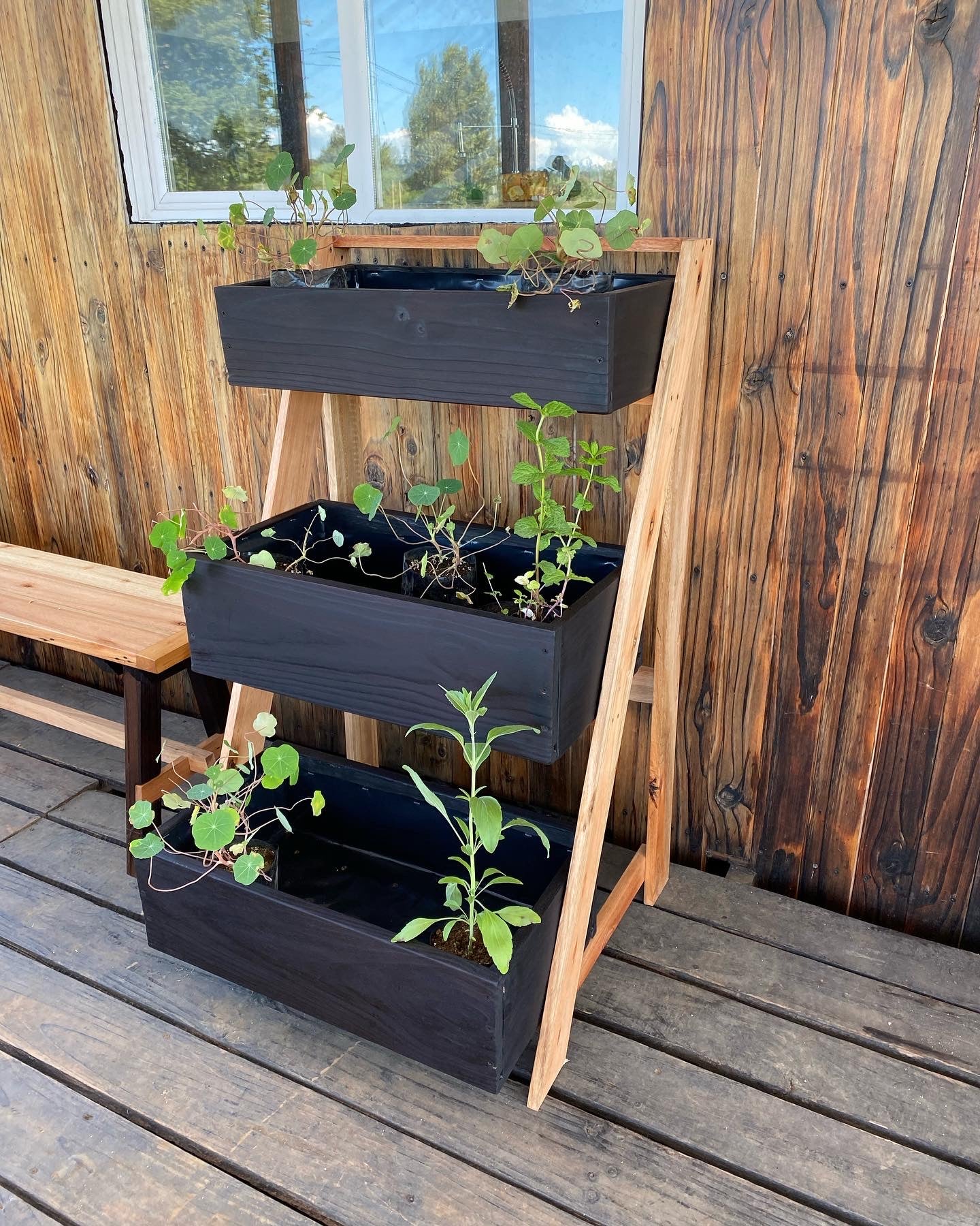 Huerto vertical bicolor