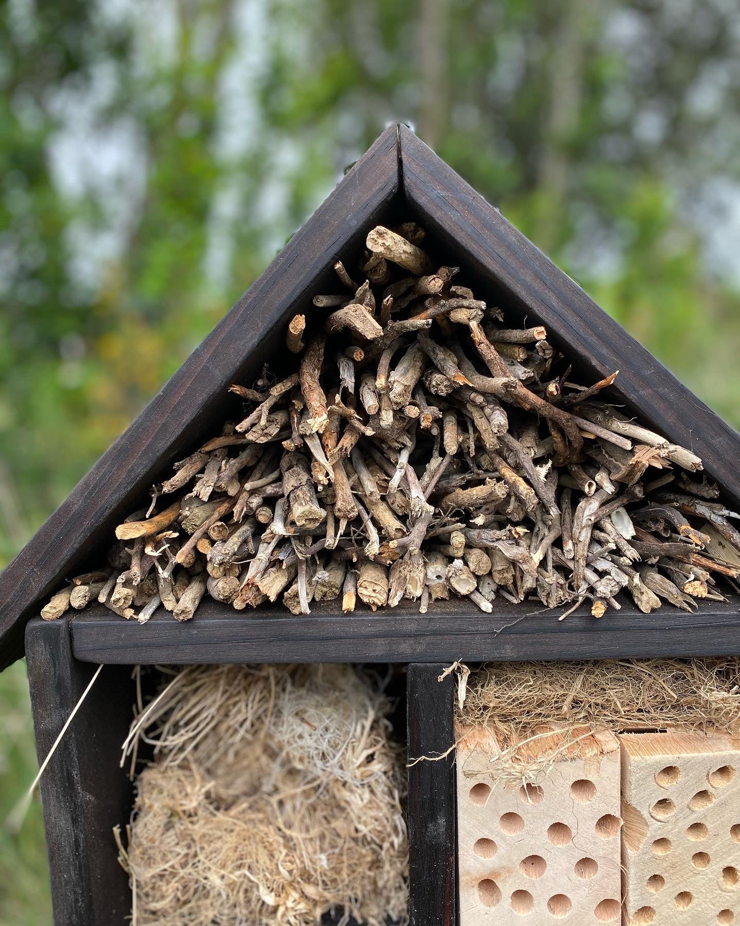 Hotel de insectos, modelo Bombus