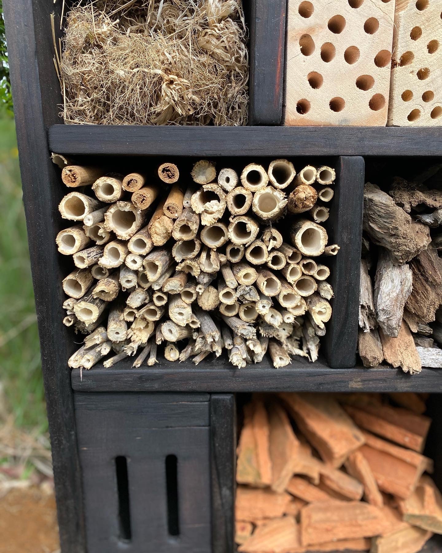 Hotel de insectos, modelo Bombus